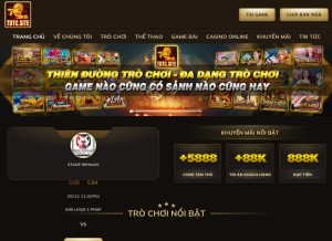 How tdtc.site looks like on a tablet such as an iPad.