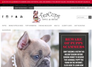 How teacupspuppies.com looks like on a tablet such as an iPad.