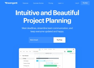 How teamgantt.com looks like on a tablet such as an iPad.
