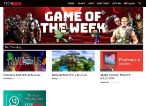 How techbigs.com looks like on a tablet such as an iPad.