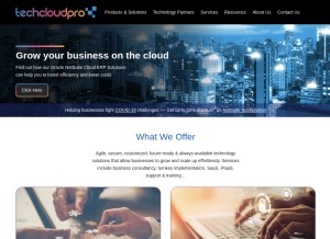 How techcloudpro.com looks like on a tablet such as an iPad.