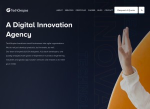 How techgropse.com looks like on a tablet such as an iPad.