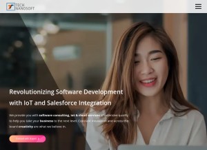 How technanosoft.com looks like on a tablet such as an iPad.