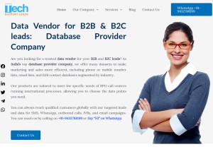 How techsupportleads.com looks like on a tablet such as an iPad.