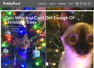 How teddyfeed.com looks like on a tablet such as an iPad.
