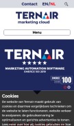 How ternairsoftware.com looks like on a mobile device such as an iPhone.