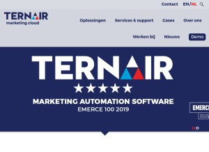 How ternairsoftware.com looks like on a tablet such as an iPad.
