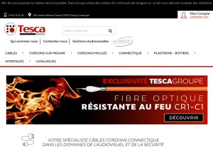 How tesca-groupe.com looks like on a tablet such as an iPad.