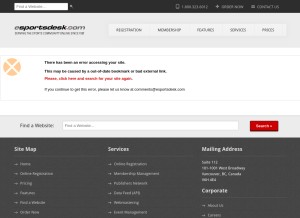 How theaihl.com looks like on a tablet such as an iPad.