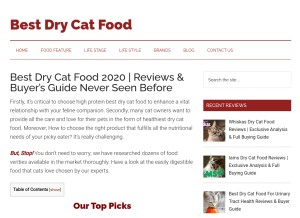 How thebestdrycatfood.com looks like on a tablet such as an iPad.