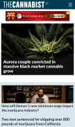 How thecannabist.co looks like on a mobile device such as an iPhone.