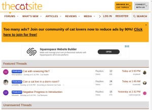 How thecatsite.com looks like on a tablet such as an iPad.