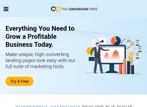 How theconversionpros.com looks like on a tablet such as an iPad.