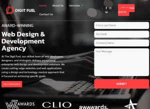 How thedigitfuel.com looks like on a tablet such as an iPad.
