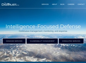 How thedigitrustgroup.com looks like on a tablet such as an iPad.