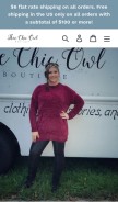 How theechicowlboutique.com looks like on a mobile device such as an iPhone.