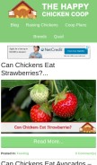 How thehappychickencoop.com looks like on a mobile device such as an iPhone.