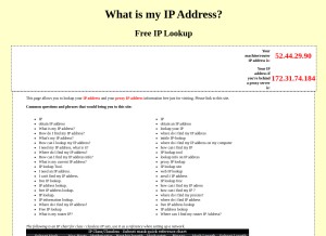 How theiplookup.org looks like on a tablet such as an iPad.