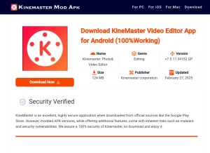 How thekinemaster.in looks like on a tablet such as an iPad.