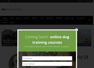 How thelabradorsite.com looks like on a tablet such as an iPad.