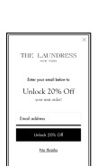How thelaundress.com looks like on a mobile device such as an iPhone.