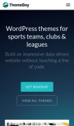 How themeboy.com looks like on a mobile device such as an iPhone.