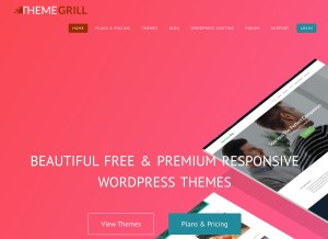 How themegrill.com looks like on a tablet such as an iPad.