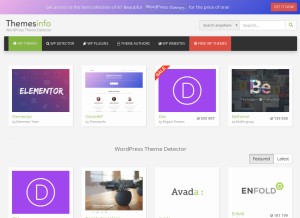 How themesinfo.com looks like on a tablet such as an iPad.