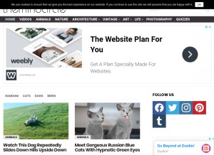 How themindcircle.com looks like on a tablet such as an iPad.