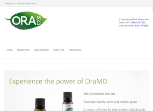 How themouthdoctor.com looks like on a tablet such as an iPad.