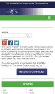 How thenameengine.com looks like on a mobile device such as an iPhone.