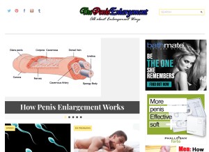 How thepenisenlargement.net looks like on a tablet such as an iPad.