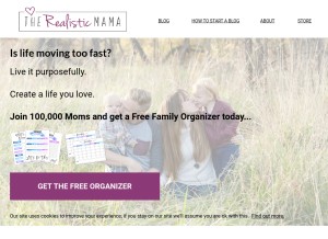 How therealisticmama.com looks like on a tablet such as an iPad.