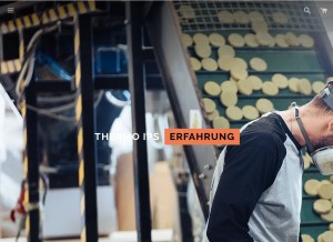 How thermo-ips.de looks like on a tablet such as an iPad.