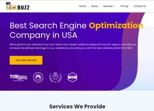 How theseobuzz.com looks like on a tablet such as an iPad.