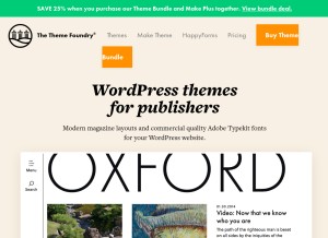 How thethemefoundry.com looks like on a tablet such as an iPad.