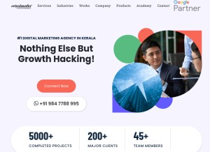 How theviralmafia.com looks like on a tablet such as an iPad.