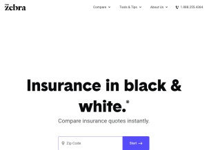 How thezebra.com looks like on a tablet such as an iPad.