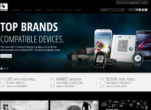 How thisisant.com looks like on a tablet such as an iPad.