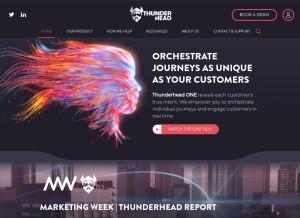 How thunderhead.com looks like on a tablet such as an iPad.