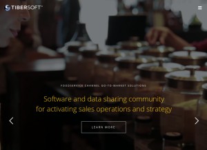 How tibersoft.com looks like on a tablet such as an iPad.