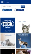 How tica.org looks like on a mobile device such as an iPhone.