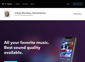 How tidal.com looks like on a tablet such as an iPad.