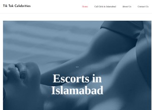 How tiktokcelebrities.online looks like on a tablet such as an iPad.