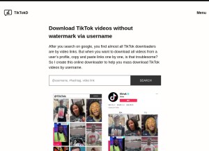 How tiktokd.com looks like on a tablet such as an iPad.