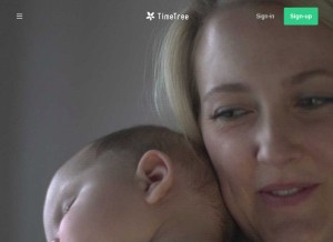 How timetreeapp.com looks like on a tablet such as an iPad.