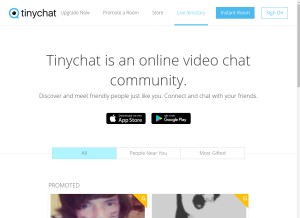 How tinychat.com looks like on a tablet such as an iPad.