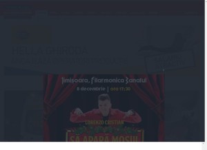 How tion.ro looks like on a tablet such as an iPad.