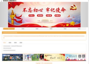 How tjyuanhao.cn looks like on a tablet such as an iPad.