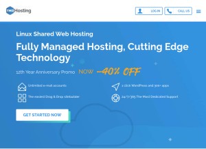 How tmdhosting.com looks like on a tablet such as an iPad.